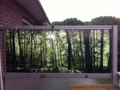 patio window, woodland landscape print