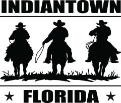 I created this design for shirts. We have a lot of real cowboys in the area that work hard!