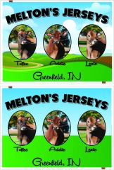 Meltons Jerseys Banner