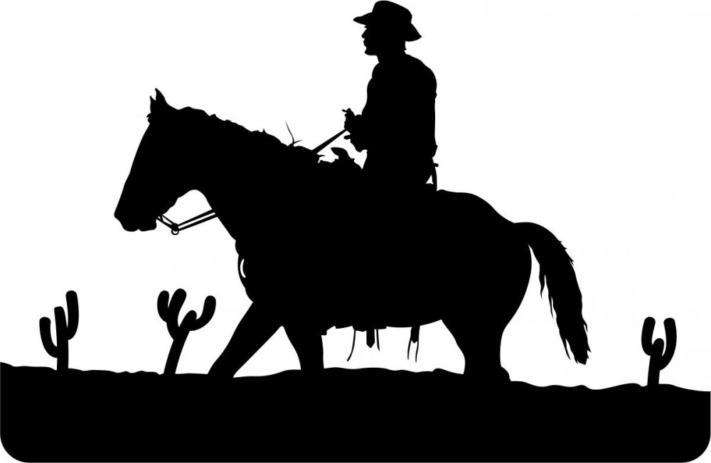 arizona cowboy.jpg
