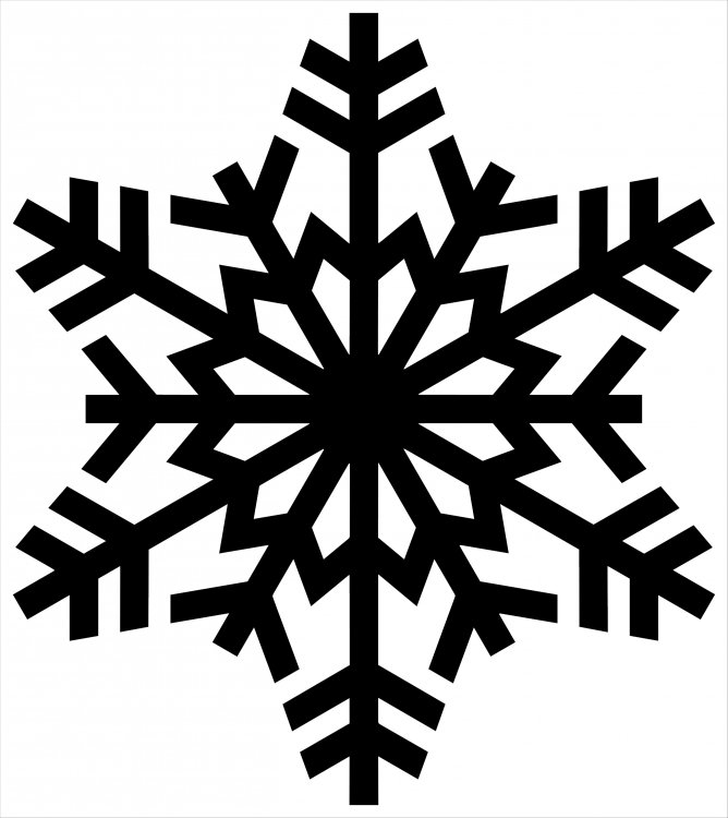 snowflake.thumb.jpg.66a2cf9baa022f1ac62c4285b9e99c00.jpg