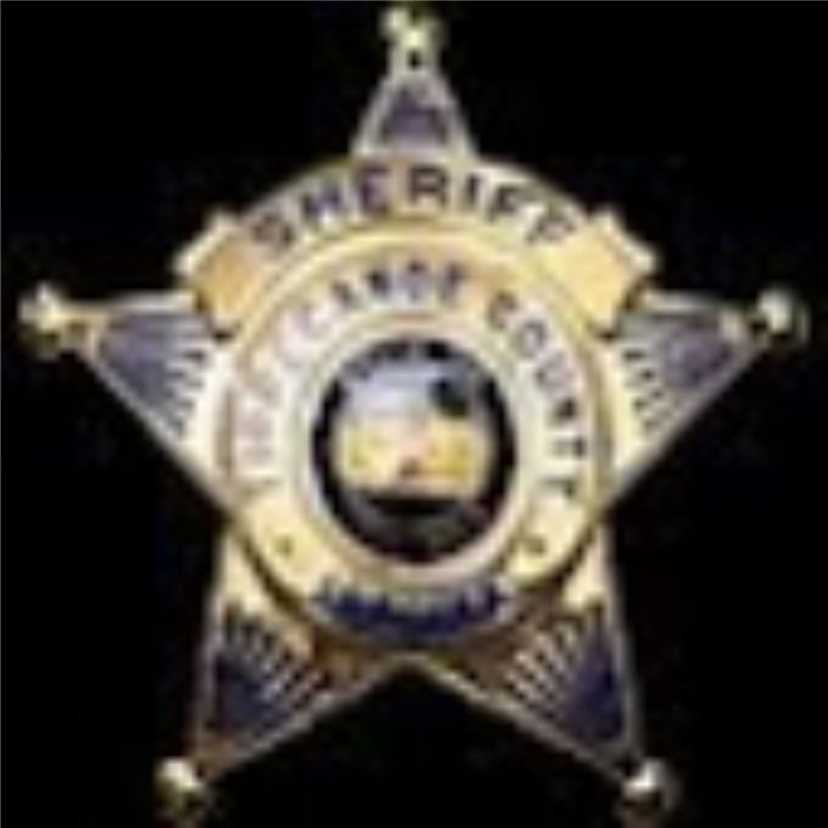 Sheriff Badge.jpg