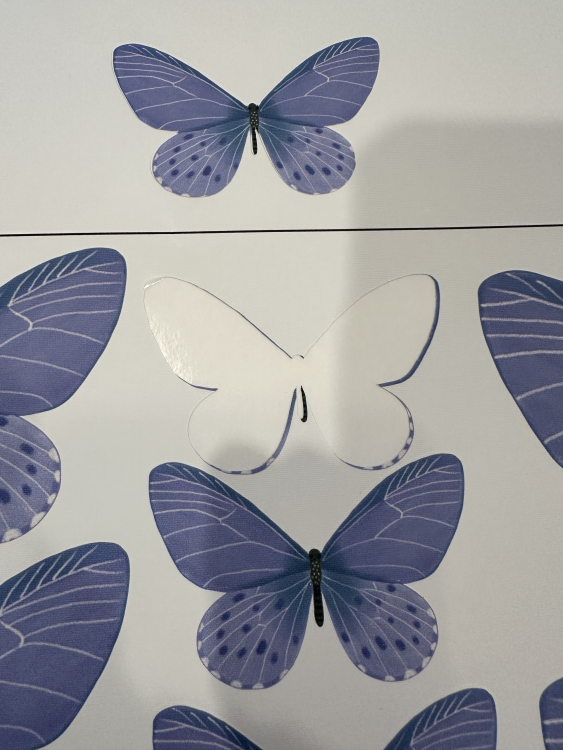 Cut lines moved slightly to the left cutting into the graphic and leaving a white edge on the upposite side.png